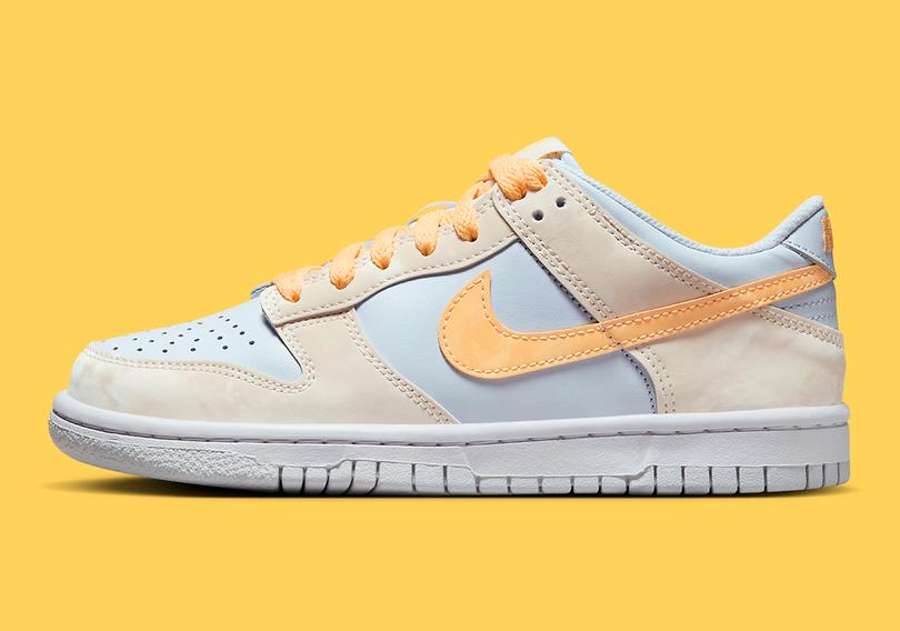 nike-dunk-low-gs-tan-blue-yellow-fb9109-100-8