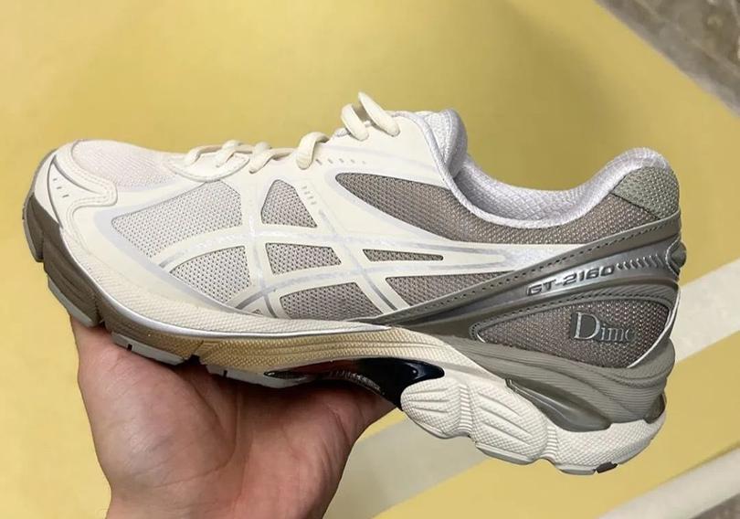 DIME-ASICS-GT-2160-Release-Info-2